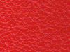 pl01
