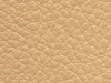 pl15