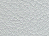 pl21