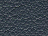 pl22