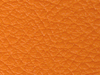 pl28