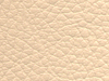 pl29