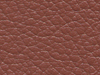 pl31