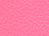 pl33