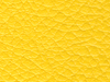pl40